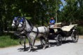 /album/fotogaleria-inicio/a16-caballos-jordi-foto-cmhomer-jpg/